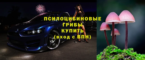 дмт Лиски