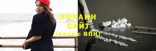дмт Лиски