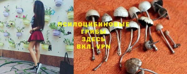 винт Лабытнанги