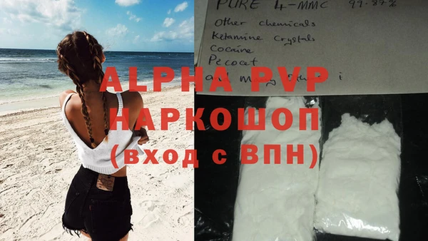 винт Лабытнанги