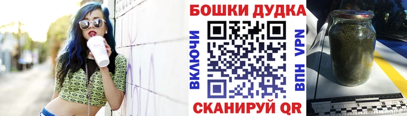 Бошки Шишки семена  Луза 